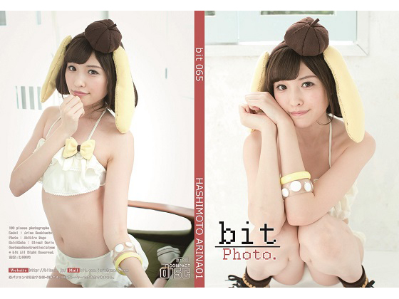bit065 hashimoto01 